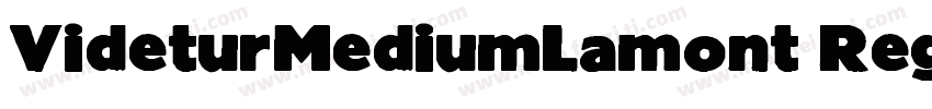 VideturMediumLamont Regular字体转换